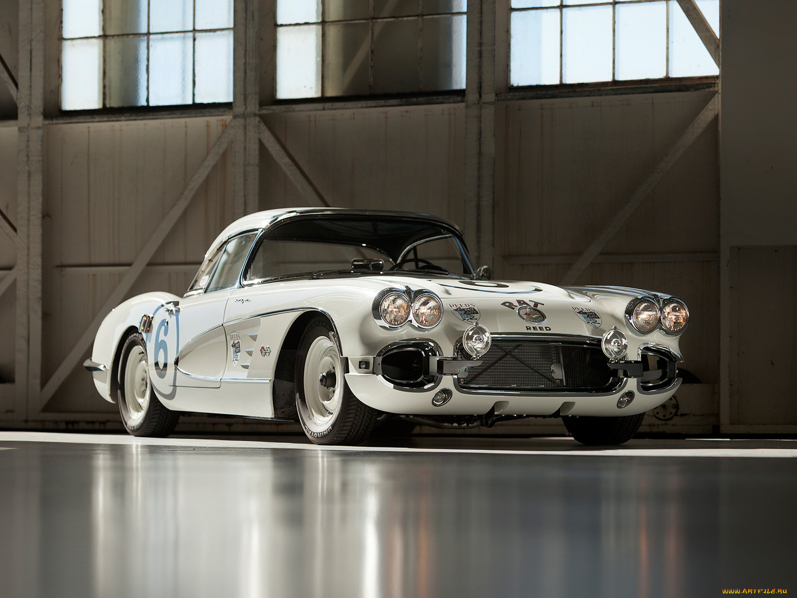 , corvette, rat